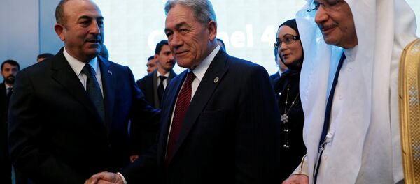 Yeni Zelanda Başbakan Yardımcısı ve Dışişleri Bakanı Winston Peters ile Dışişleri Bakanı Mevlüt Çavuşoğlu - Sputnik Türkiye