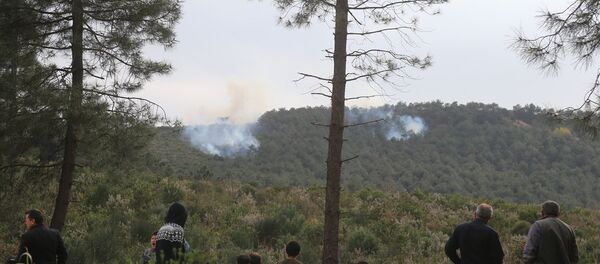 Sultanbeyli Aydos Ormanı'nda çıkan yangına orman ekipleri ile itfaiye ekipleri müdahale ediyor. - Sputnik Türkiye