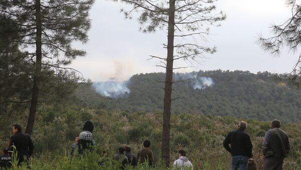 Sultanbeyli Aydos Ormanı'nda çıkan yangına orman ekipleri ile itfaiye ekipleri müdahale ediyor. - Sputnik Türkiye