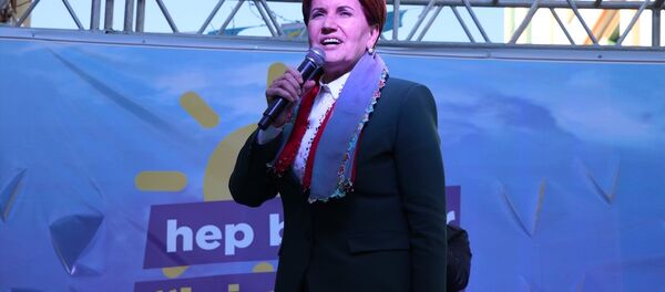 İYİ Parti Genel Başkanı Meral Akşener - Sputnik Türkiye