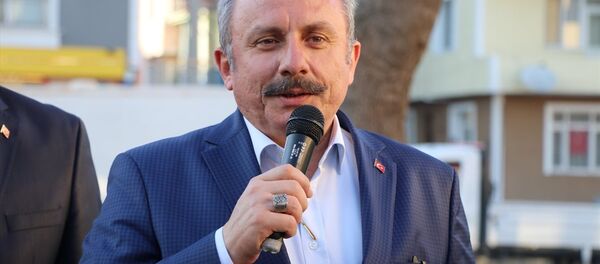 TBMM Başkanı Mustafa Şentop - Sputnik Türkiye