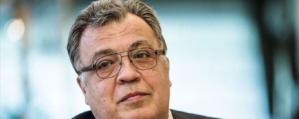 Andrey Karlov - Sputnik Türkiye