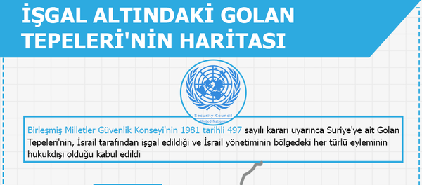 İnfografik - Sputnik Türkiye