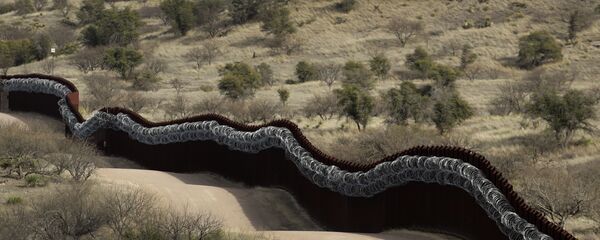 ABD-Meksika sınırı - Sputnik Türkiye