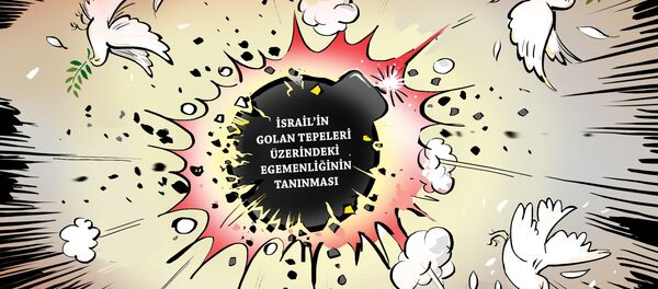 Karikatür - Sputnik Türkiye