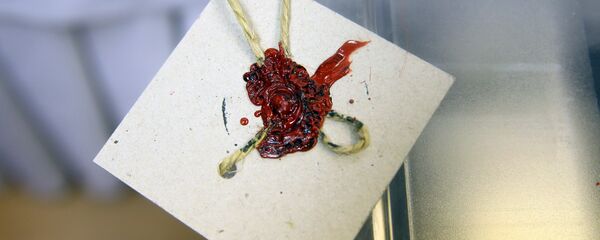 Seçim - sandık - oy - Sputnik Türkiye