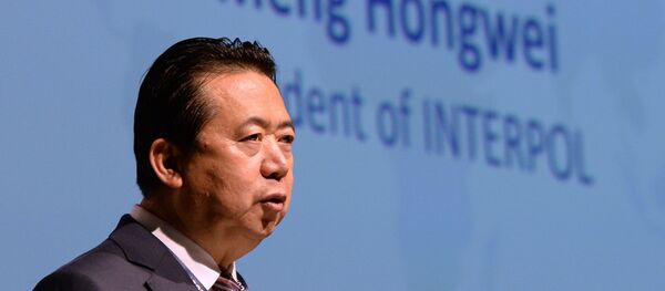 Meng Hongwei - Sputnik Türkiye