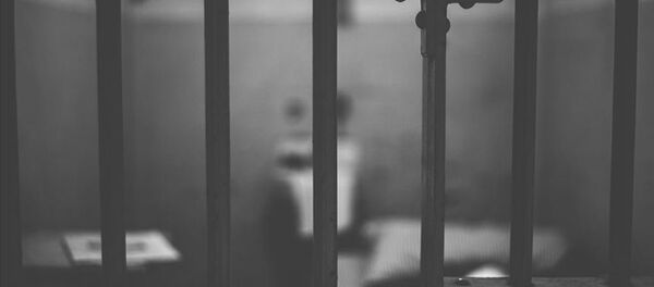 Cezaevi - Sputnik Türkiye