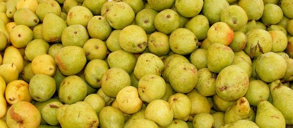 Elmanın ardından Belarus üzerinden Rusya’ya sokulan Türkiye menşeli armutlara da yasak geldi Elmanın ardından Belarus üzerinden Rusya’ya sokulan Türkiye menşeli armutlara da yasak geldi - Sputnik Türkiye