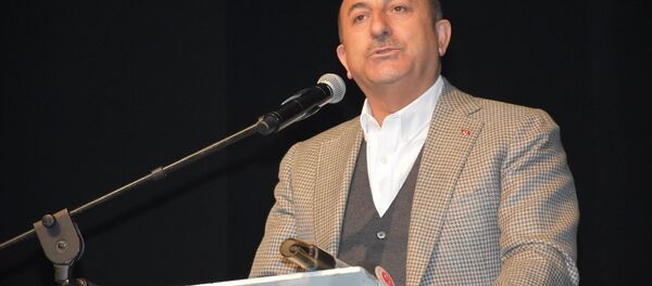 Dışişleri Bakanı Mevlüt Çavuşoğlu - Sputnik Türkiye