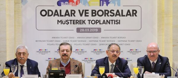 Mehmet Özhaseki - Sputnik Türkiye