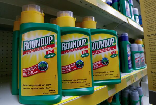 Bayer -  Roundup Weed and Grass Killer (Yeşil ot kurutucu) - Sputnik Türkiye