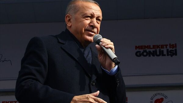 Recep Tayyip Erdoğan, Ankara, Haymana - Sputnik Türkiye