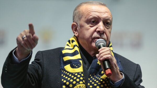 Erdoğan - Çubuk mitingi - Sputnik Türkiye
