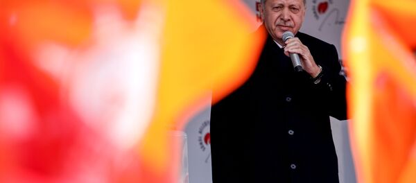 Recep Tayyip Erdoğan - Sputnik Türkiye