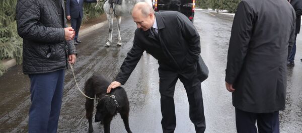 Putin'e hediye edilen hayvanlar - Sputnik Türkiye