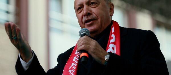 Cumhurbaşkanı Recep Tayyip Erdoğan - Sputnik Türkiye