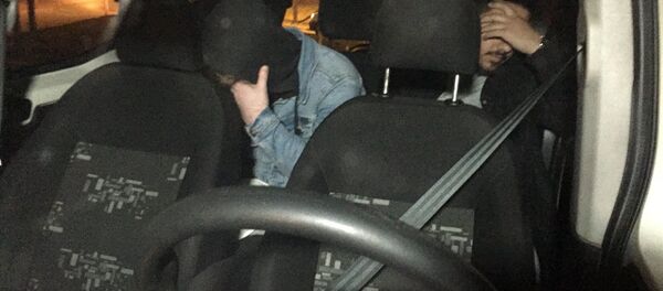 Alkollü sürücü Alkollü sürücü - Sputnik Türkiye