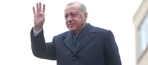 Recep Tayyip Erdoğan - Sputnik Türkiye