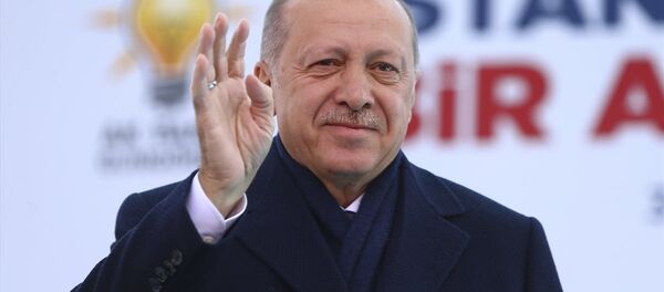 Recep Tayyip Erdoğan - Sputnik Türkiye