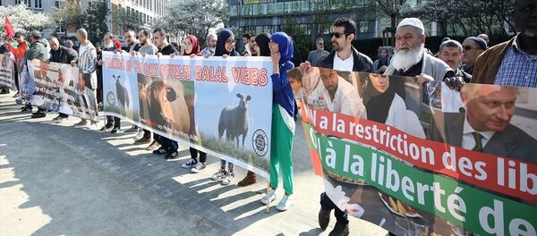 Brüksel'de helal kesim yasağı protestosu - Sputnik Türkiye