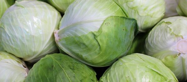 Lahana - Sputnik Türkiye