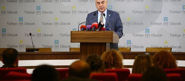 Cihan Paçacı - Sputnik Türkiye