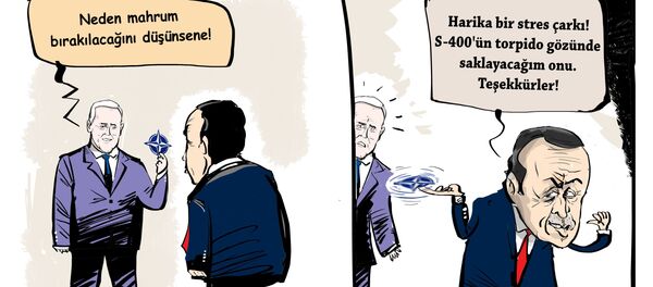 Karikatür - Sputnik Türkiye