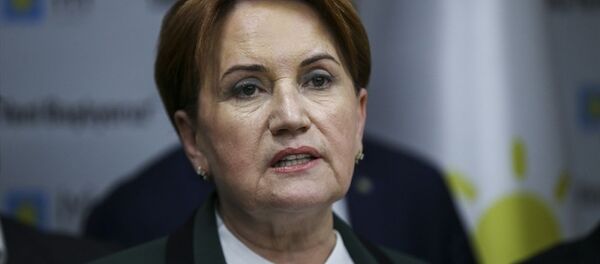 Meral Akşener - Sputnik Türkiye