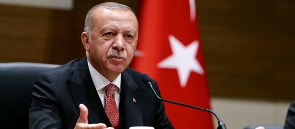 Recep Tayyip Erdoğan - Sputnik Türkiye