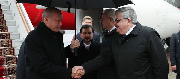Türkiye Cumhurbaşkanı Recep Tayyip Erdoğan - Sputnik Türkiye