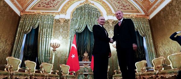 Recep Tayyip Erdoğan - Sputnik Türkiye