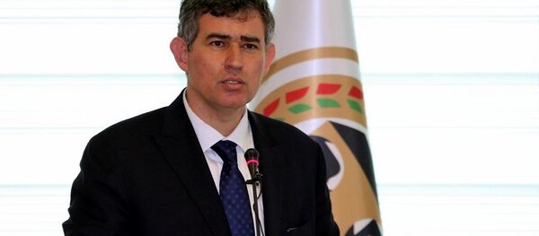 Metin Feyzioğlu - Sputnik Türkiye