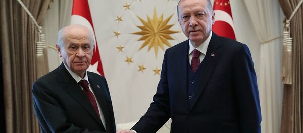 Recep Tayyip Erdoğan - Devlet Bahçeli Recep Tayyip Erdoğan - Devlet Bahçeli - Sputnik Türkiye