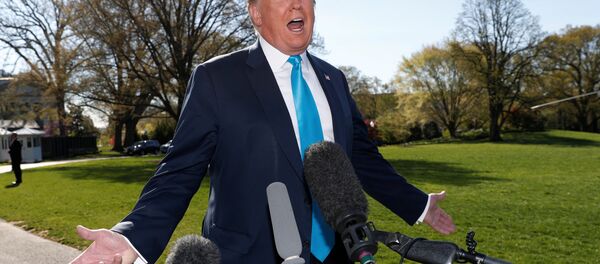 ABD Başkanı Donald Trump - Beyaz Saray - Sputnik Türkiye