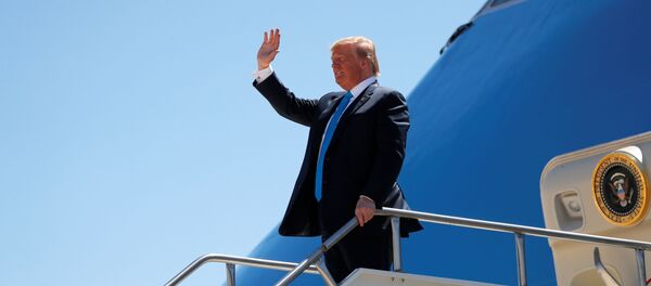 Donald Trump - Sputnik Türkiye