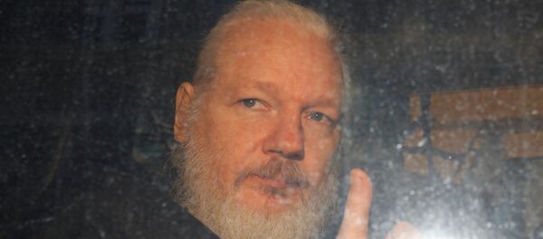 Julian Assange - Sputnik Türkiye