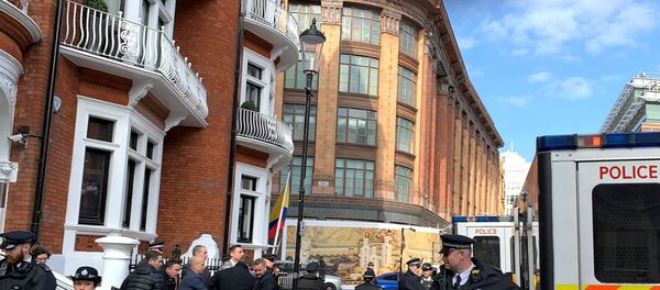 Julian Assange - Sputnik Türkiye