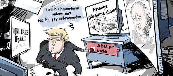 Karikatür - Sputnik Türkiye