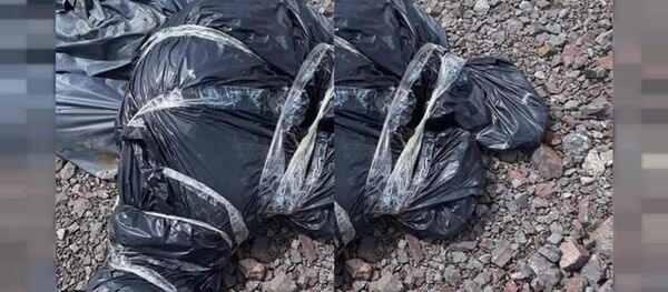 Ankara Çubuk'ta çöp torbalarına konulmuş onlarca sokak köpeği ölüsü bulundu - Sputnik Türkiye