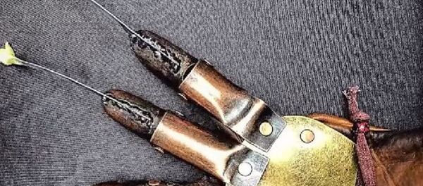 ABD’de yolcularının bagajlarından çıkanlar şaşırtıyor - Sputnik Türkiye