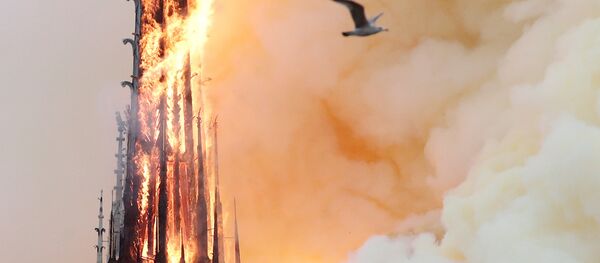 Paris Notre Dame Katedrali'nde yangın çıktı - Sputnik Türkiye