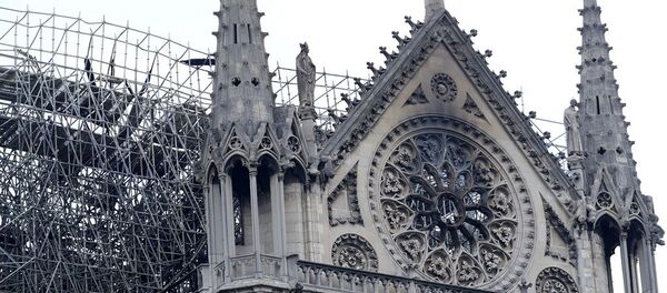  Notre Dame Katedrali - Sputnik Türkiye