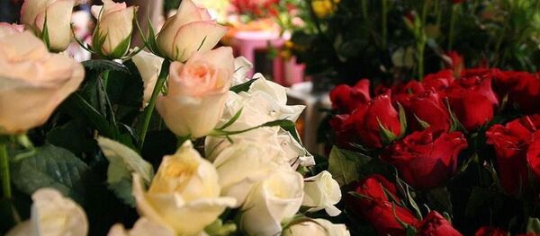 Çiçek - çiçekçi - Gül - Sputnik Türkiye