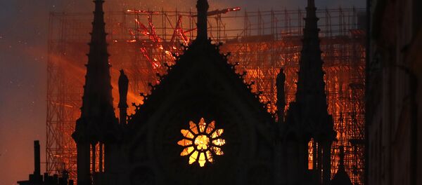 Notre Dame Katedrali - Sputnik Türkiye