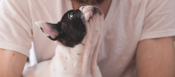 Bir köpek sahibi - Sputnik Türkiye