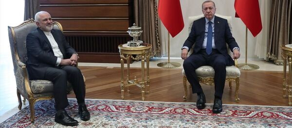 İran Dışişleri Bakanı Cevad Zarif, Cumhurbaşkanı Recep Tayyip Erdoğan ile bir araya geldi. - Sputnik Türkiye
