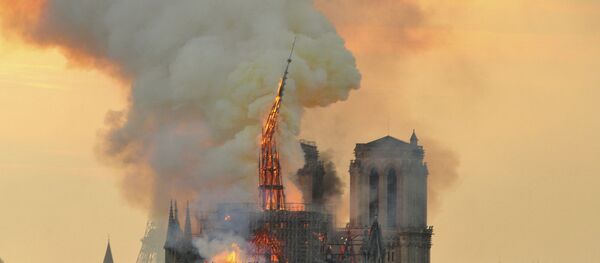 Notre Dame Katedrali - Sputnik Türkiye