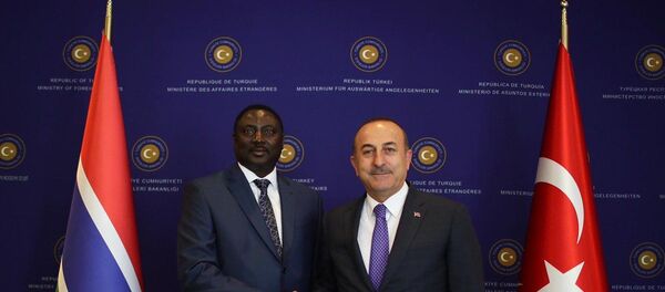 Gambiya Dışişleri, Uluslararası İşbirliği ve Yurtdışında Yaşayan ​​​​Gambiyalılar Bakanı Mamadou Tangara - Sputnik Türkiye