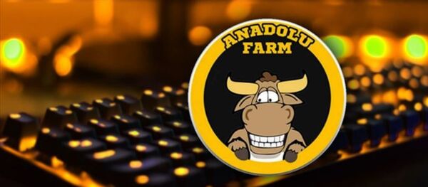 Anadolu farm - Sanal oyun dolandırıcılığı - Sputnik Türkiye